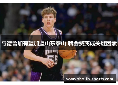 马德鲁加有望加盟山东泰山 转会费或成关键因素